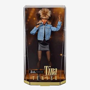 Tina Turner Barbie Doll: ‘90s Fashion and Accessories
