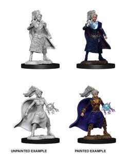 Nolzur's Miniature D&D Female Sorcerer Doll