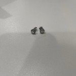Moissanite Halo 14K White Gold Stud Earrings