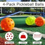 Portable Pickleball Set with Net and 4 Balls