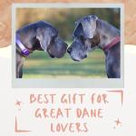 20oz Rose Gold Great Dane Travel Tumbler