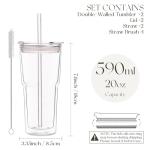 20oz Double Wall Glass Tumblers with Lids & Straws