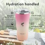 20Oz Insulated Tumbler with Straw - Pink Mesa Sunset