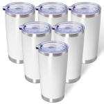 20oz Stainless Steel Insulated Tumbler Set (6 Pack)
