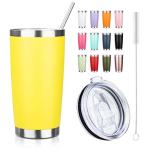 20oz Stainless Steel Insulated Tumbler with Straw
