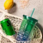 Bzyoo 24oz Double Wall Tumbler with Straw