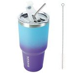 Ocean Dream 30oz Color Block Tumbler with Straw