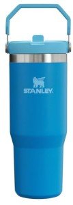 Stanley IceFlow 30oz Vacuum Insulated Tumbler