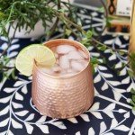 Hammered Copper Tumbler - 16 Oz Vintage Style