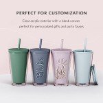 Clear Acrylic Insulated Tumblers with Lid & Straw