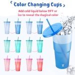 Color Changing Tumblers with Lids and Straws - 6 Pack