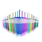 19pcs Color Changing Tumblers with Lids and Straws