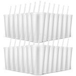 24 Pack Reusable Plastic Tumblers with Lids & Straws