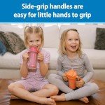 Dr. Brown's Pink Insulated Sippy Cup Set