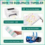 6 Pack Insulated Sippy Cups for Kids