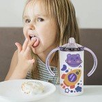 2 Pack Stainless Steel Insulated Sippy Cup Tumblers