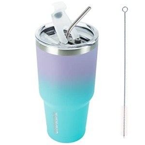 30oz Stainless Steel Insulated Tumbler with Straw