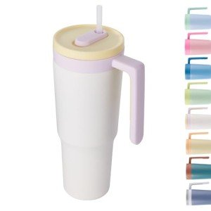 40 oz Insulated Tumbler with Handle & Straw