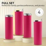Set of 4 Pink Insulated 20oz Tumblers with Straws