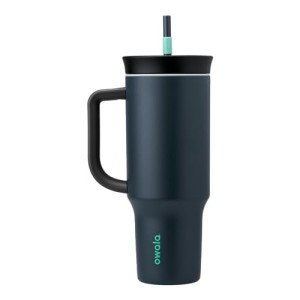 Owala 40 oz Insulated Travel Tumbler, Gray