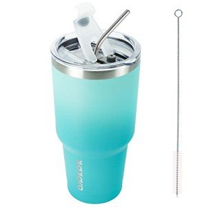 Mint 30oz Stainless Steel Insulated Tumbler with Lid