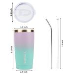 Insulated Stainless Steel Travel Tumbler with Straw