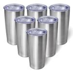 20oz Insulated Stainless Steel Tumblers - 6 Pack