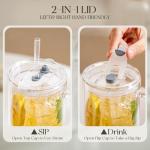 28oz Double Wall Glass Tumblers with Straws