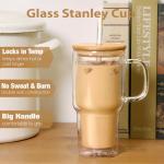 Greefun 20oz Insulated Glass Tumbler with Handle