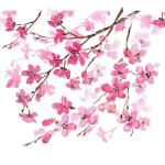 Tervis Sakura Cherry Blossom Insulated Tumbler 24oz