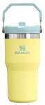 Stanley IceFlow 20 oz Tumbler with Handle