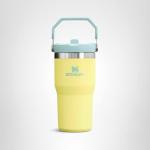 Stanley IceFlow 20 oz Tumbler with Handle