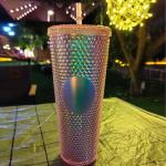 Pink Studded 24 Oz Tumbler with Straw