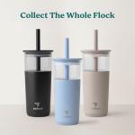 Aspen 20 oz Insulated Tumbler with Lid & Straw