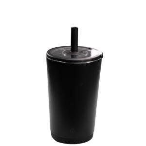 HydroJug Insulated 14 oz Tumbler with Straw