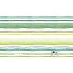 Tervis Double-Walled Insulated Tumbler Set, 16oz