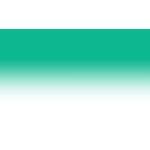 Tervis Enchanted Garden Double-Walled Travel Tumblers 4pk