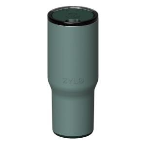 Zylo 24oz Insulated Stainless Steel Tumbler - Sagebrush