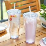 Zephyr Canyon 24oz Reusable Tumblers with Straws