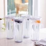 Zephyr Canyon 24oz Reusable Tumblers with Straws
