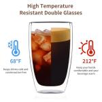 17oz Double Walled Insulated Glass Coffee Mugs