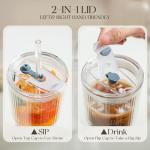 Set of 2 Insulated 20oz Glass Tumblers