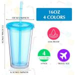 4 Pack Insulated Plastic Tumblers with Lids and Straws