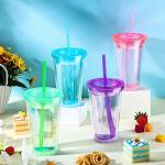 4 Pack Insulated Plastic Tumblers with Lids and Straws