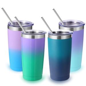 20oz Insulated Stainless Steel Tumbler 4-Pack