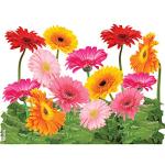 Tervis Gerbera Daisies Double Walled Insulated Tumbler