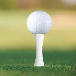 Zivisk White Step Down Golf Tees - 100 Count