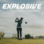 Precise NX460 Women’s Complete Golf Club Set