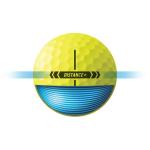 TaylorMade 2025 Distance Yellow Golf Balls, Dozen