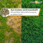 Versando 10kg Rasendünger für grünen Rasen